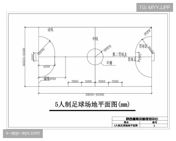 球场尺寸规则：国际赛与业余赛场长宽标准差异